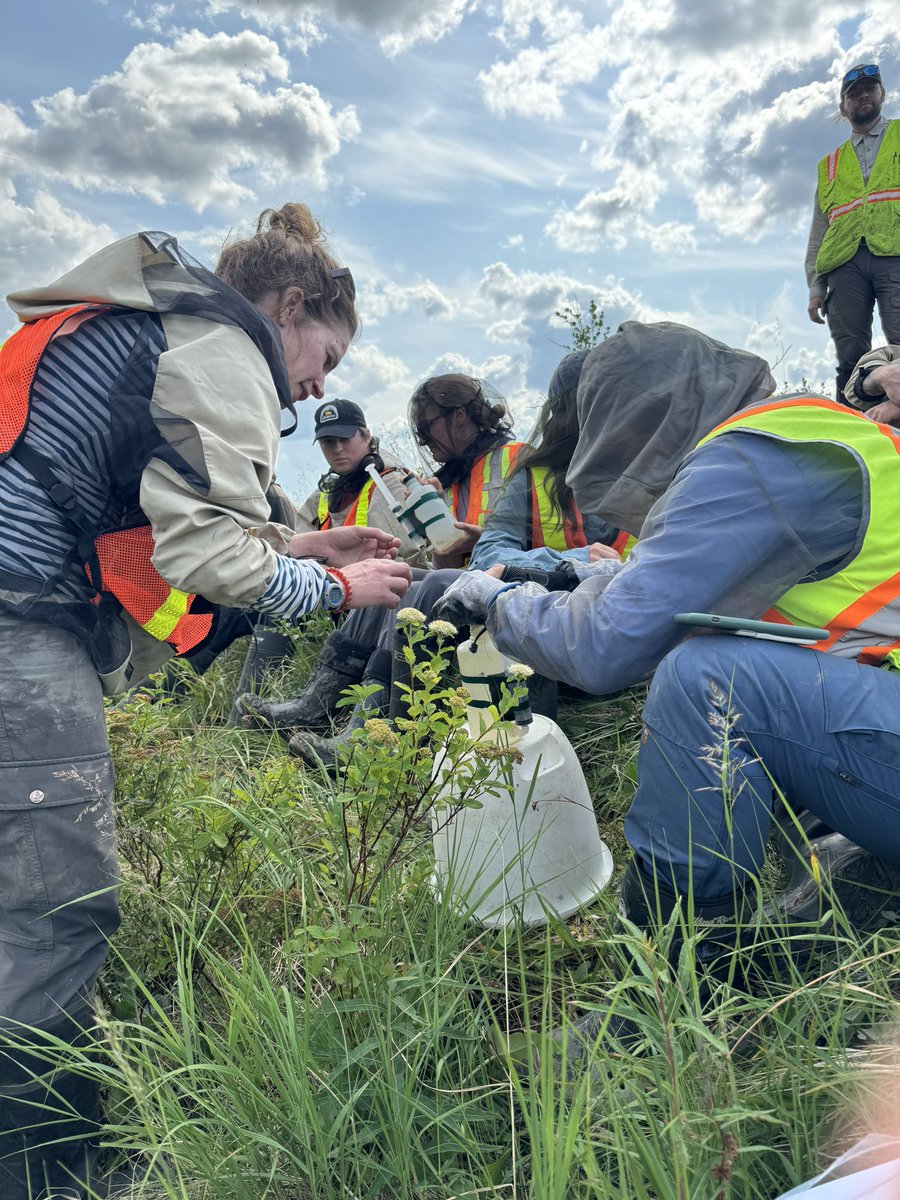 tephrafan's tweet image. W rapping up the NSERC Create Permafrost graduate training in Inuvik. Co-taught with colleagues Steve Kokelj, Suzanne Tank and Oliver Sonnentag. Fantastic experience— tremendous group. A few photos.