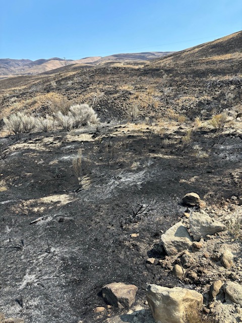 PatrickDePoe's tweet photo. Over the weekend I witnessed the Black Canyon Fire outside of Naches. Crews across WA are digging fire lines, helping communities prepare, and removing fuels that spread the flames. We all owe them a great debt and to honor it all of us must do our part to prevent fires. https://t.co/JDEs7mS4KK