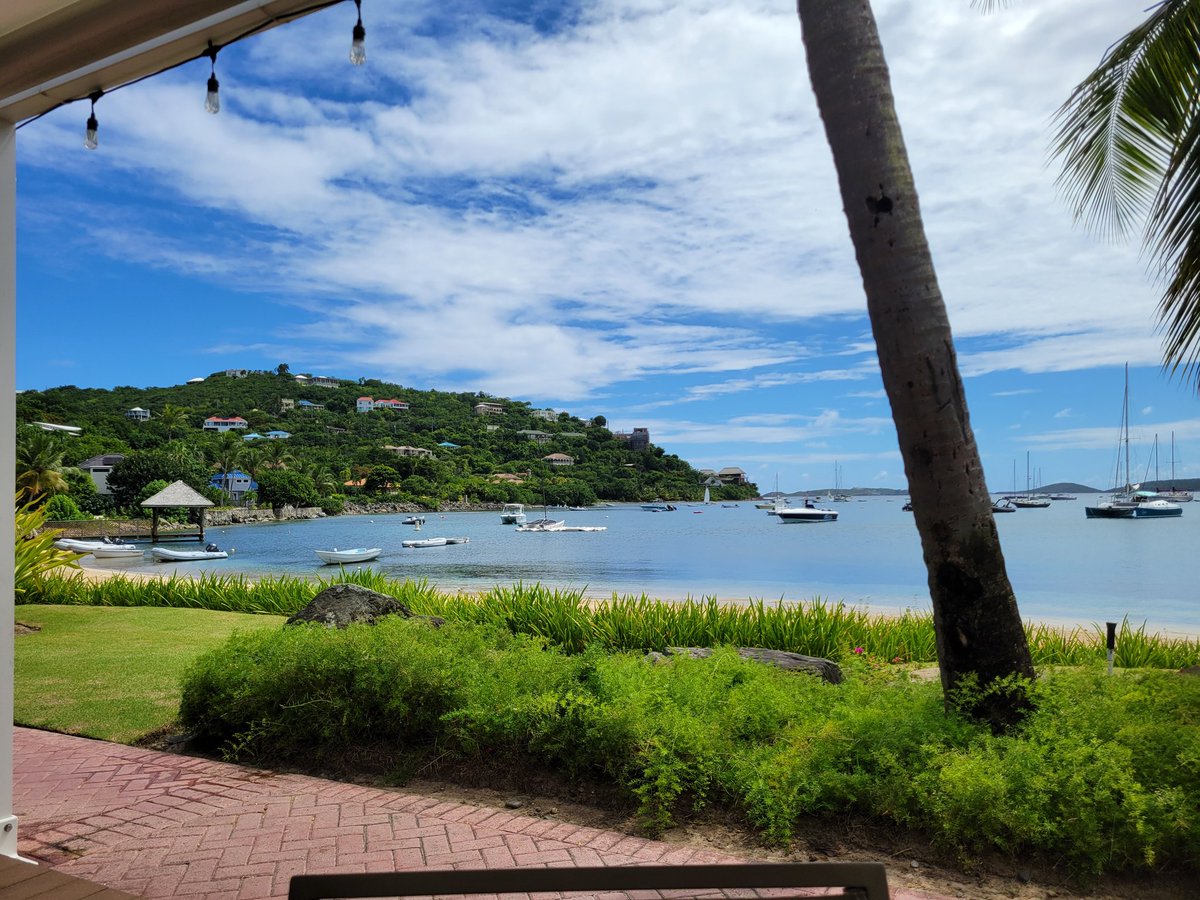 kerfaffle's tweet image. Current View