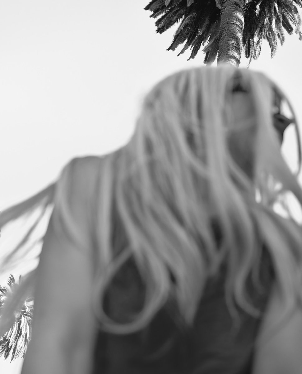 AvaMax's tweet photo. 🌴 ✩ “so fake, so california” ✩ 🌴 https://t.co/dxke6AyJ10
