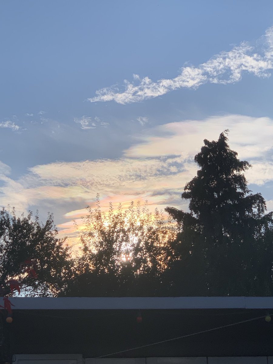 Diane Cheetham tweet media