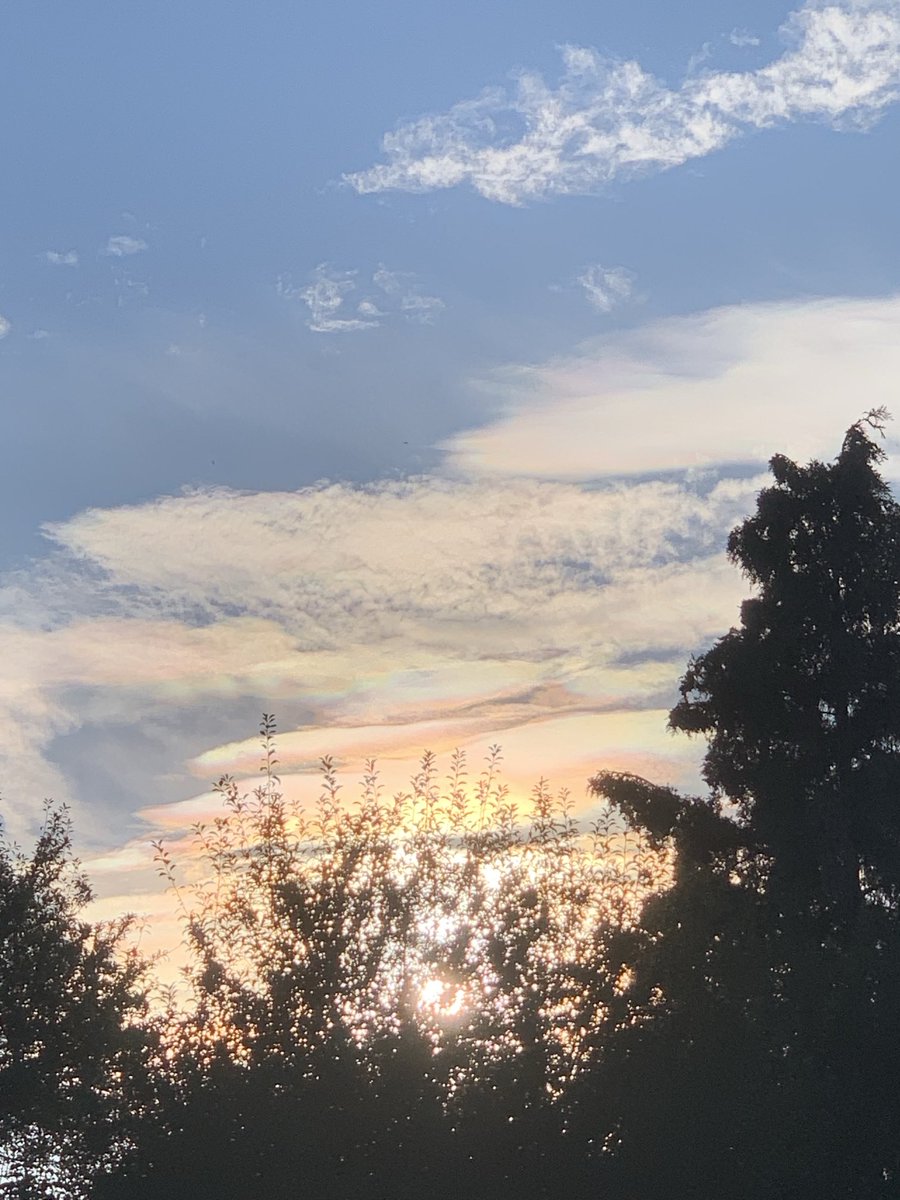 Diane Cheetham tweet media