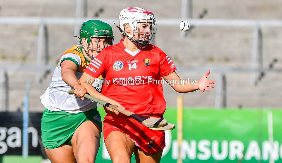 Billy Culleton📸 tweet media