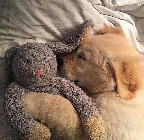 นอนกันเถอะ นอนกันเถอะ @fybabyxsunoo