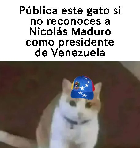xx1rus's tweet photo. #VenezuelaLibre https://t.co/DerxjZ7ktk