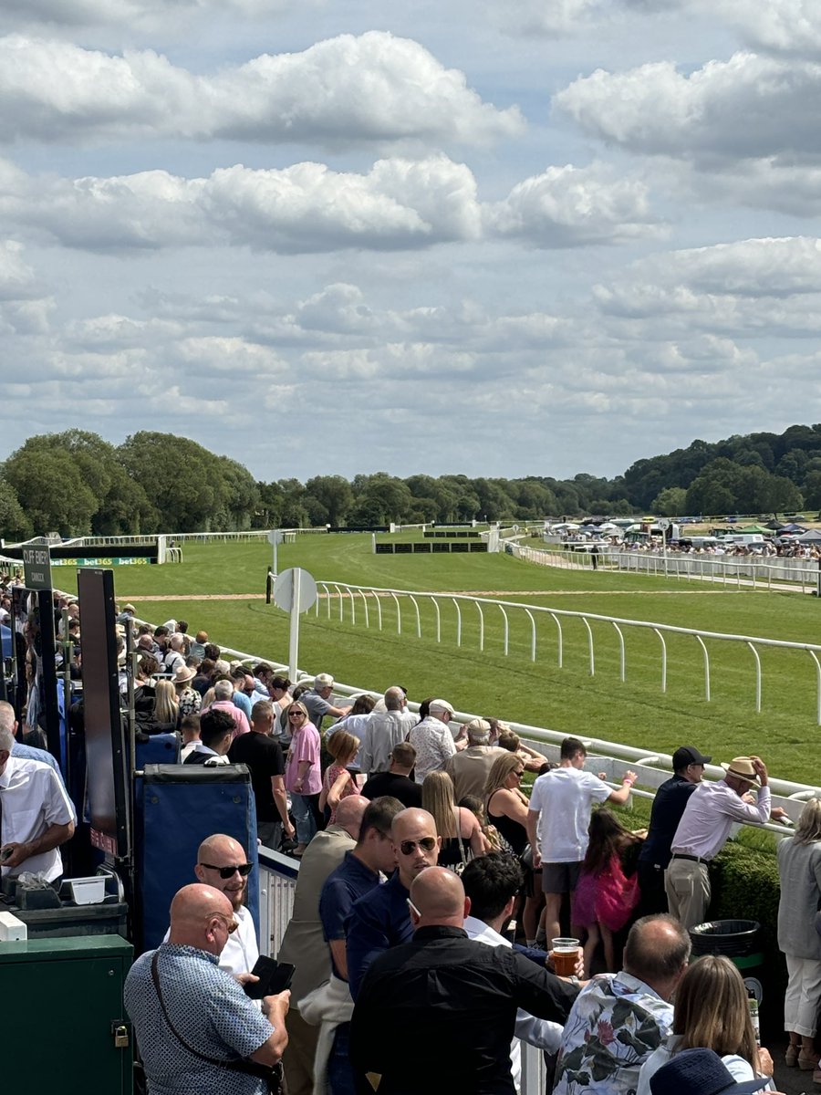 MJs Fun With Food tweet media