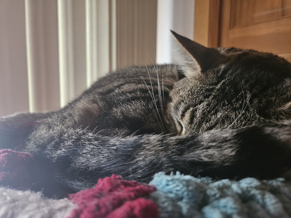 full of pilk (inactive) tweet media