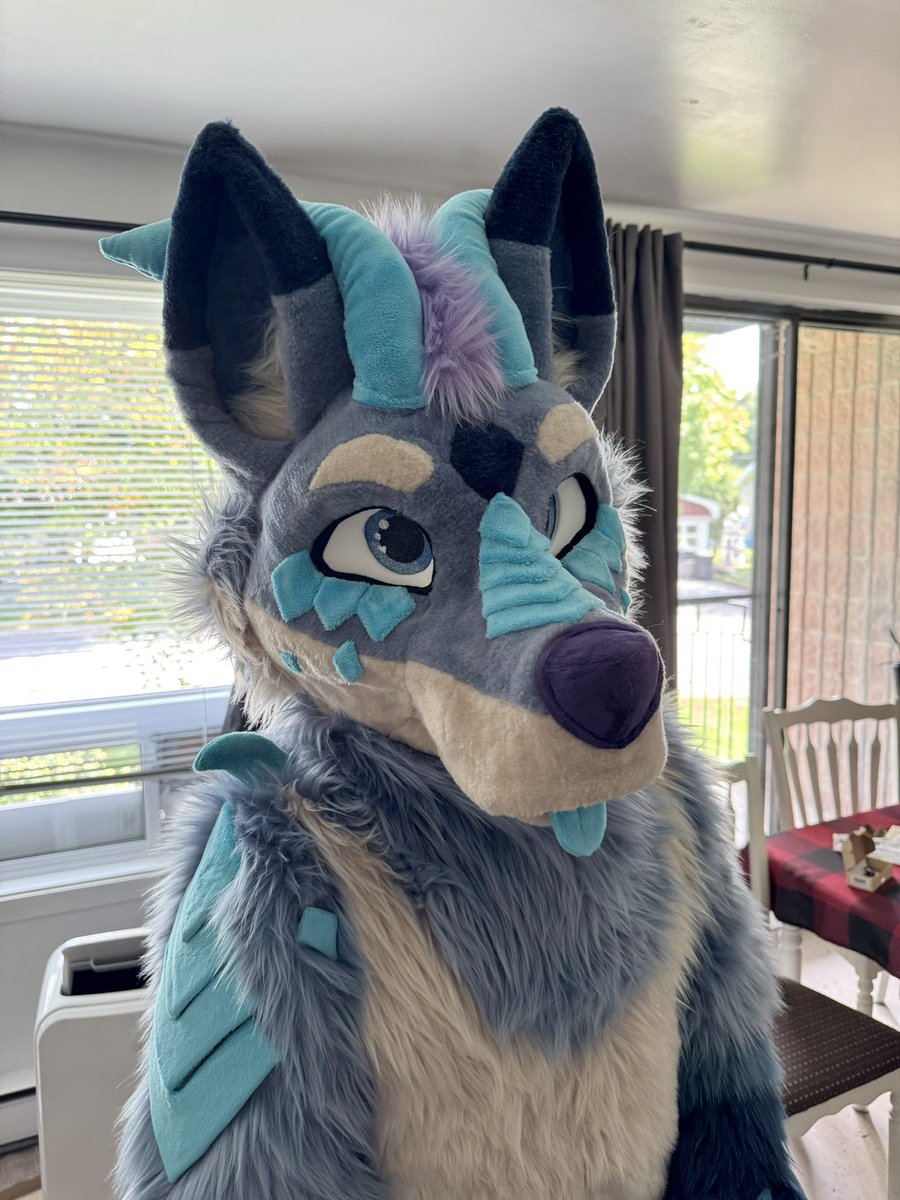StarIcer (@star_icer) on Twitter photo Something that Iโve wanted for a long time finally arrived. <a href="/KybaCWC/">Kyba the Husky๐จ๐ฆ commish open ๐ชก</a> made a dream of mine come true! Iโm so happy and canโt wait to give lots of hugs!๐ Something that Iโve wanted for a long time finally arrived. <a href="/KybaCWC/">Kyba the Husky๐จ๐ฆ commish open ๐ชก</a> made a dream of mine come true! Iโm so happy and canโt wait to give lots of hugs!๐