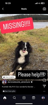 millypod1's tweet photo. MURPHY HOME SAFE. THANKS FOR RT's 😊🐕🐾

🆘28 JUL 2024 #Lost MURPHY #ScanMe #Tagged
Black &amp; White Border Collie Male 
Sytche Caravan And Camping Park #MuchWenlock #Shropshire #TF13 
https://t.co/pMnsUSBZYi https://t.co/2b9QjmFJRe