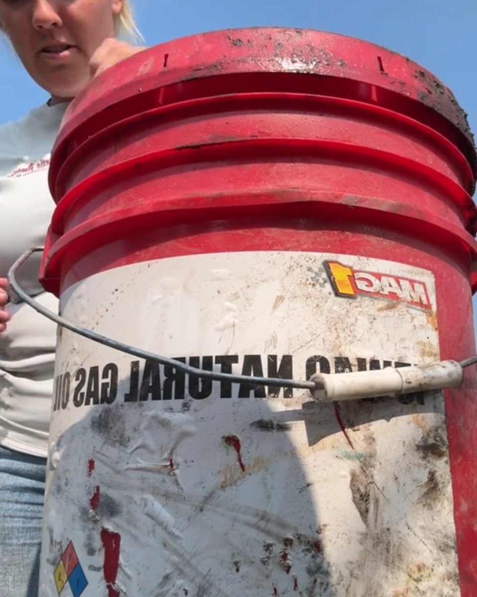 FemaleRancher's tweet photo. When you lost your funnel and jug. You make do with what you got. π€ͺ #FarmLife #RancherLife #AgLife #WomenInAg #LivestockLove #FarmModel #AgInfluencer #FarmingCommunity #RanchLife #AgCommunity #WomenWhoFarm #LivestockFarming #FarmInfluencer https://t.co/hiCJ7VqrLY