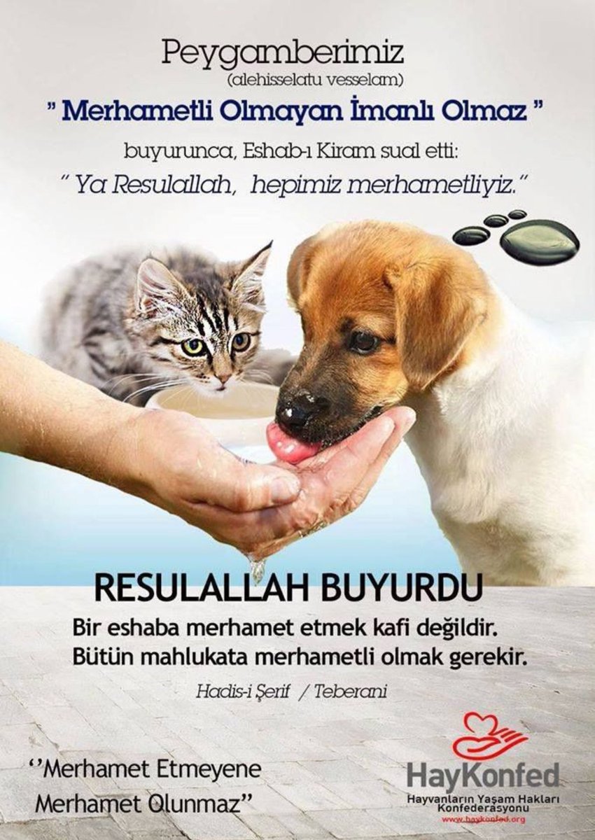 🩸Dindar ve inançlı olan biri asla can alamaz, hem de çözüm yolu bile aramadan, hem de yangından mal kaçırır gibi apar topar yasa yaparak, hem de toplumun %85’inin talebine göz yumup, vicdanları sızlatarak, her tür insan zulmüne uğrayan savunması bile olmayan, sahipsiz canları