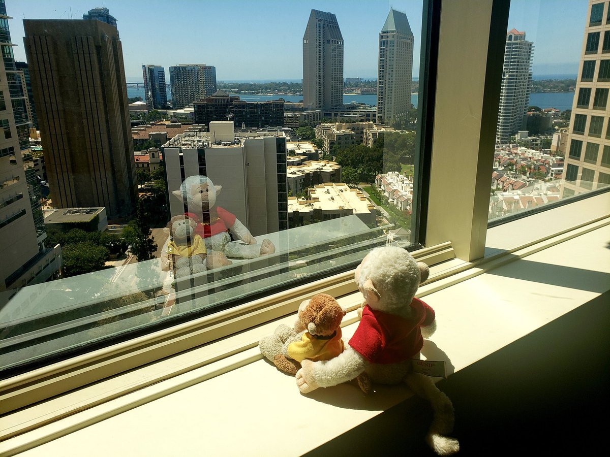 TravelingMocha's tweet photo. Just reflecting on our time in San Diego. Can't believe Comic-Con is over for another year! #MonkeyBusiness #SDCC #comiccon #afterSDCC https://t.co/yDkVkDjuKT