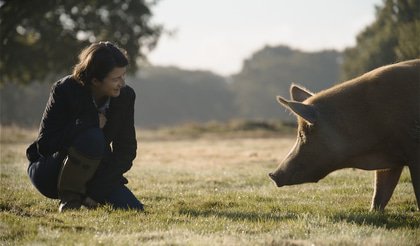 GreenSkillsLib's tweet photo. We're really looking forward to going to see 'Wilding' at @nordenfarm on Tuesday 6th August. Following the hopeful story of rewilding the Knepp estate in Sussex. Tickets are available on the link below and there are showings on other dates as well. 
#Wilding https://t.co/GY0EBPKort