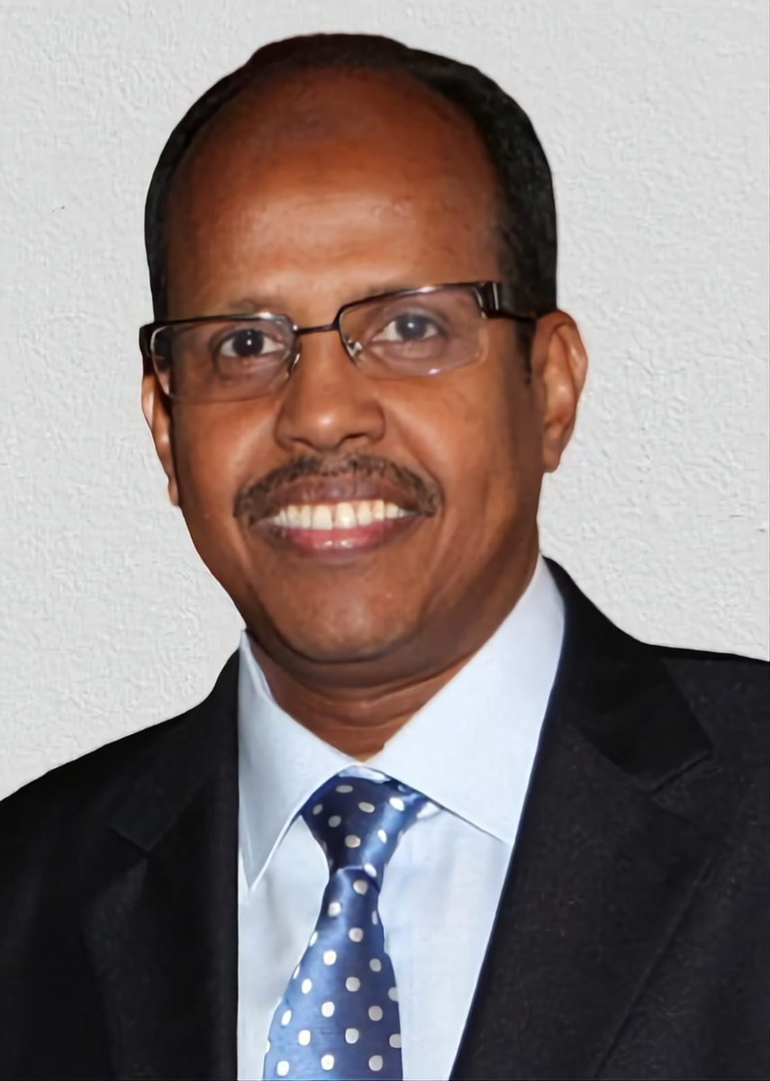 Ouldkhady's tweet photo. Submission of #Djibouti's candidature of H.E @ymahmoudali for the position of Chairperson of the #African_Union_Commission. A candidate who will devote his energy, focus, and skills #SOLELY & #EXCLUSIVELY to his mandates at the head of the organisation. #AFRICA @_AfricanUnion #Djibouti