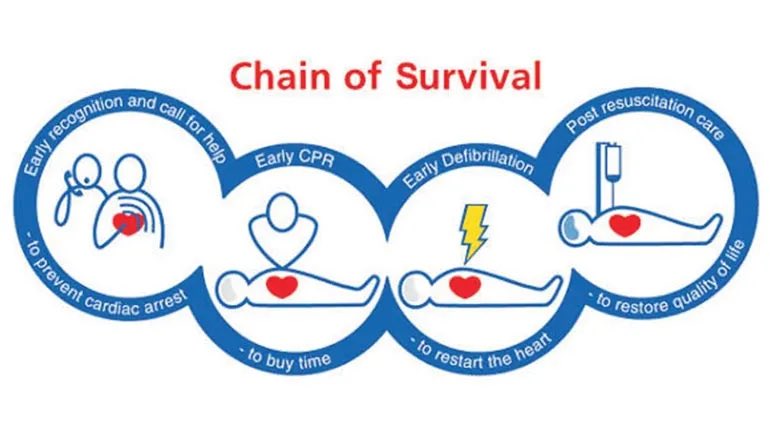 LTrounce's tweet photo. Great day in Newtown Ambulance Station (Powys) for the Corporate Governance Team Meeting, followed by Basic Life Support (BSL) Training. Just completed my registration on the GoodSam Responder App ✅ 💚🚑❤️ https://t.co/rDiyl2AiKq #TeamWAST #BSL #CPR #AED #GoodSam #SaveLives https://t.co/B1MhCL0VN4