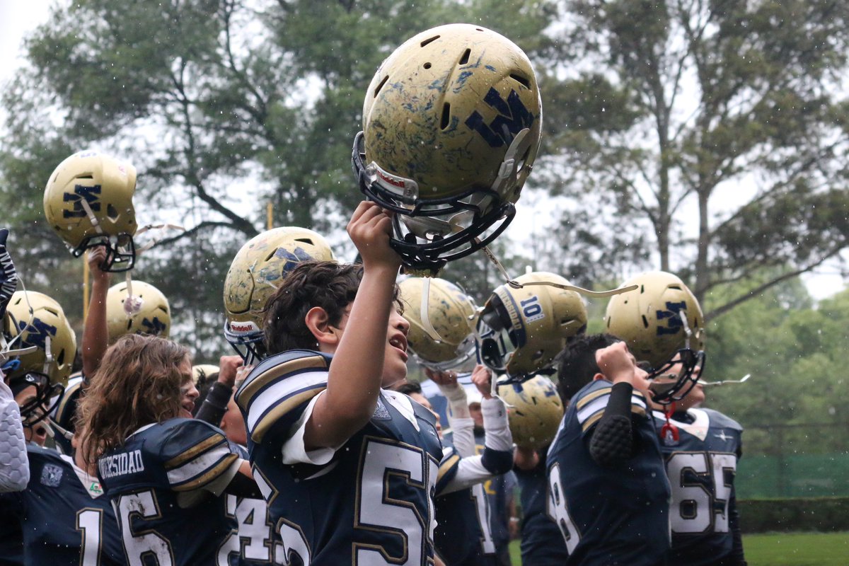 PumasCU_fba's tweet photo. 🐾 #UnGoyaPara la categoría Preinfantil de #PumasCU por llegar #INVICTOS a la semifinal ✨👏🏼🔝🏈

#PumasLaVida #Goya #SoyDeporteUNAM https://t.co/KFaJ1CBtOb