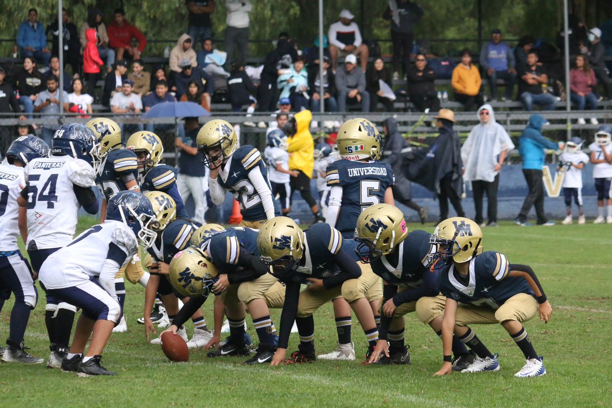 PumasCU_fba's tweet photo. 🐾 #UnGoyaPara la categoría Preinfantil de #PumasCU por llegar #INVICTOS a la semifinal ✨👏🏼🔝🏈

#PumasLaVida #Goya #SoyDeporteUNAM https://t.co/KFaJ1CBtOb