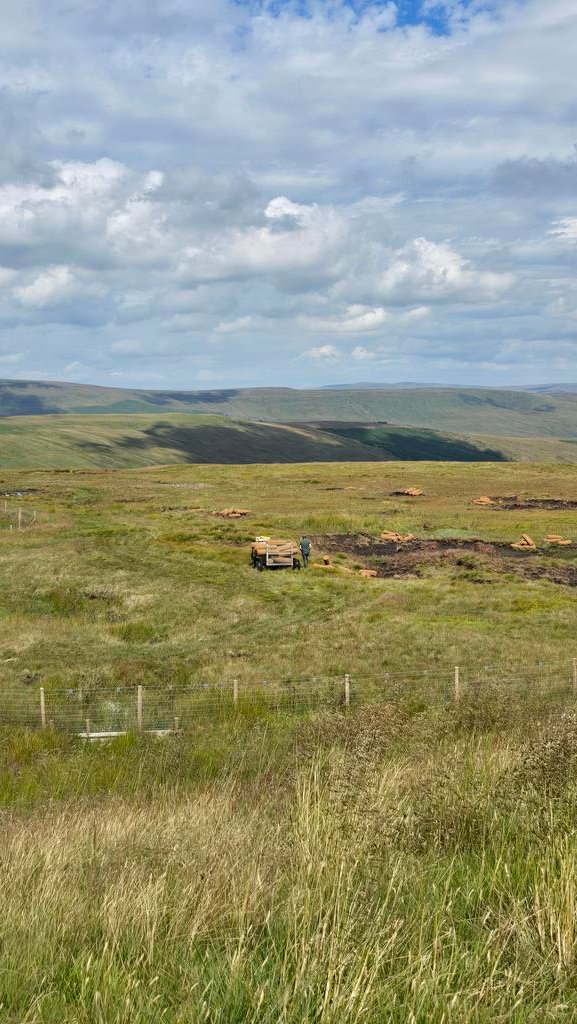 WT_PaulMos's tweet image. Brilliant day @WoodlandTrust Snaizeholme with Paul Barker Dales based filmmaker capturing some of the peat restoration work. Snaizeholme has more than 270 acres of upland peat bog, with some areas needing careful restoration. 
#naturerecovery #habitatrestoration #climatechange