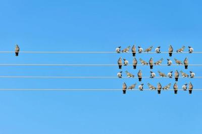 How do you gain and sustain a competitive advantage in an overcrowded market? advisorstream.com/read/the-best-…