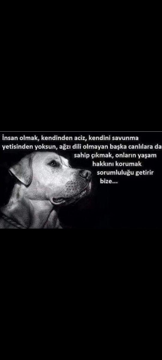PERAPERASMYRNA's tweet photo. #barınakölümdemek
#HalkıDuyErdoğan 
Zor değil..geç olmadan dönün bu yanlıştan https://t.co/XRucEPSWNF