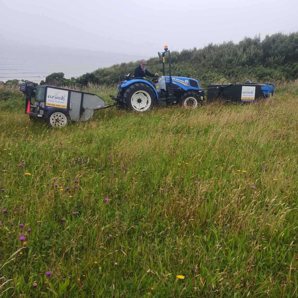 Harvesting in Donegal between showers <a href="/NPWSNatureCons/">NPWS Nature Conservation</a> <a href="/GYB_Project/">Great Yellow Bumblebee Project</a> <a href="/GrasslandsIrl/">Irish Semi-natural Grasslands</a> @hometree__ <a href="/LIFEonMachair/">LIFE on Machair / SAOL ar an Mhachaire</a>