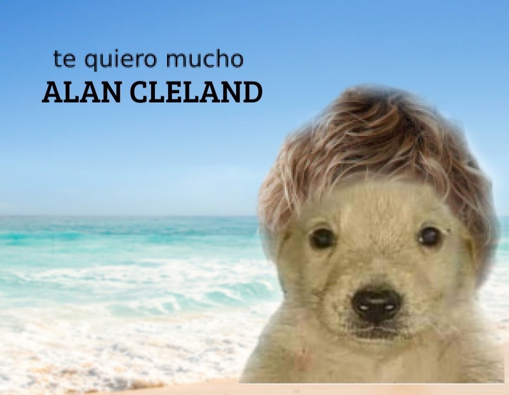 _elan_'s tweet image. Yo sin entender absolutamente nada de surf 😌