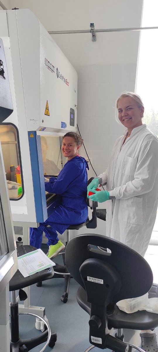 rebeka_csiba's tweet photo. We have a very intense and fun week behind us. Had a guest, Aleksandra from North-Macedonia, she came to gain some molecular biology practice in our lab. We worked with mosquitoes and ticks too, but had some time for sightseeing as well. Great week with even better colleagues!🥂 https://t.co/fU17AUgpet