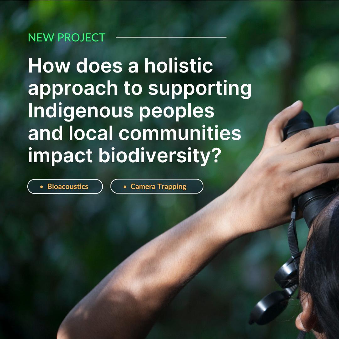 🌟 NEW PROJECT &amp; PARTNERSHIP! Officially announcing our partnership with <a href="/planet_indo/">Planet Indonesia</a> and our first project combining bioacoustics and camera trapping in Kalimantan, Indonesia. 

📸 from Planet Indonesia 💚