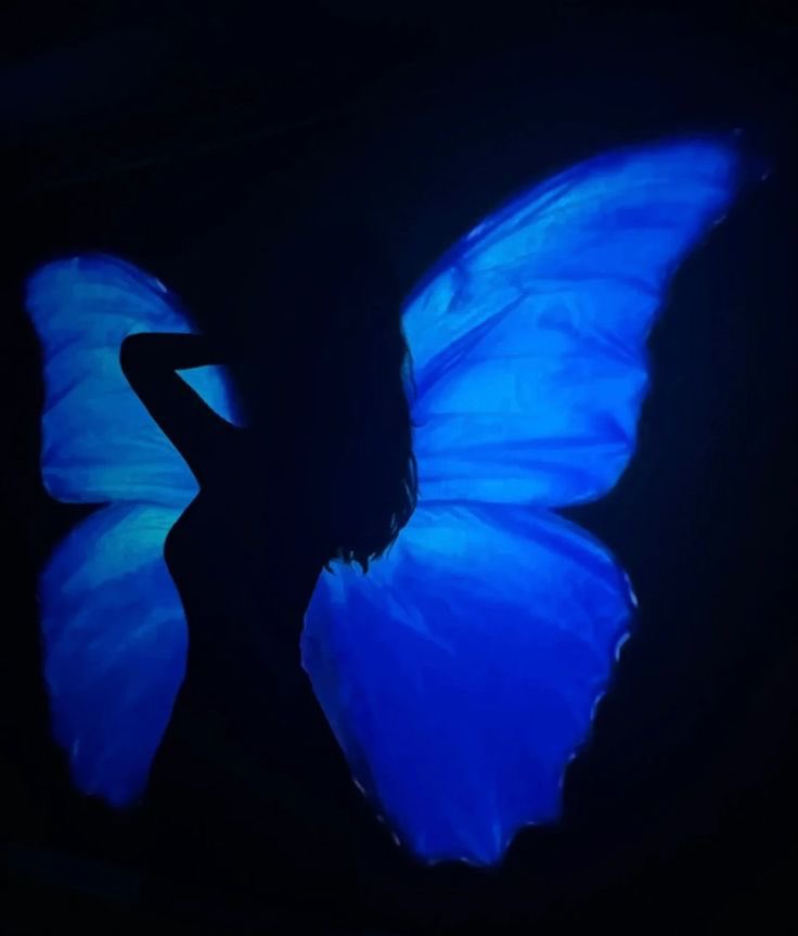 Butterflless's tweet photo. https://t.co/FidQX44EY9