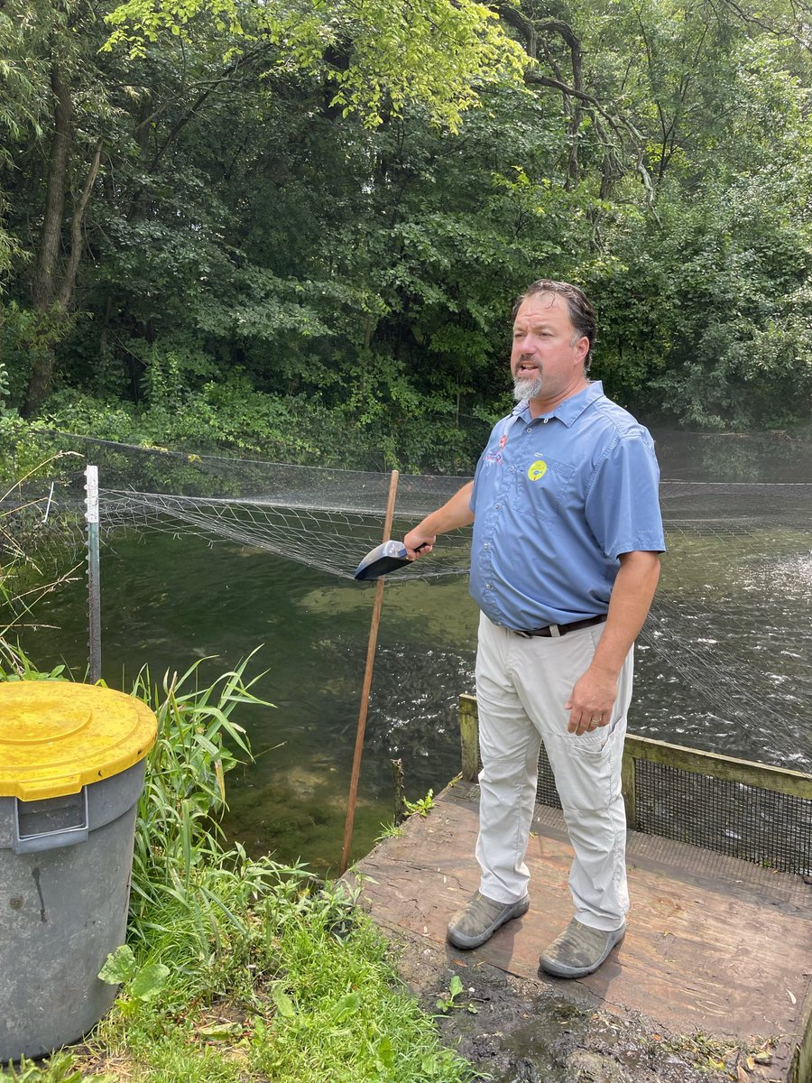 Sen. Mark Spreitzer tweet media