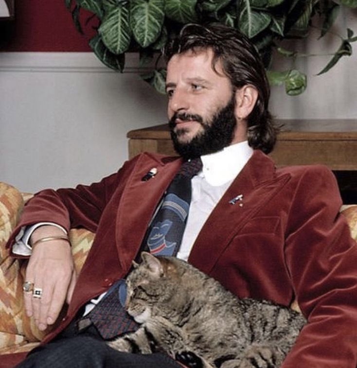 farrckh's tweet photo. the beatles with cats https://t.co/tsv5pydV4v