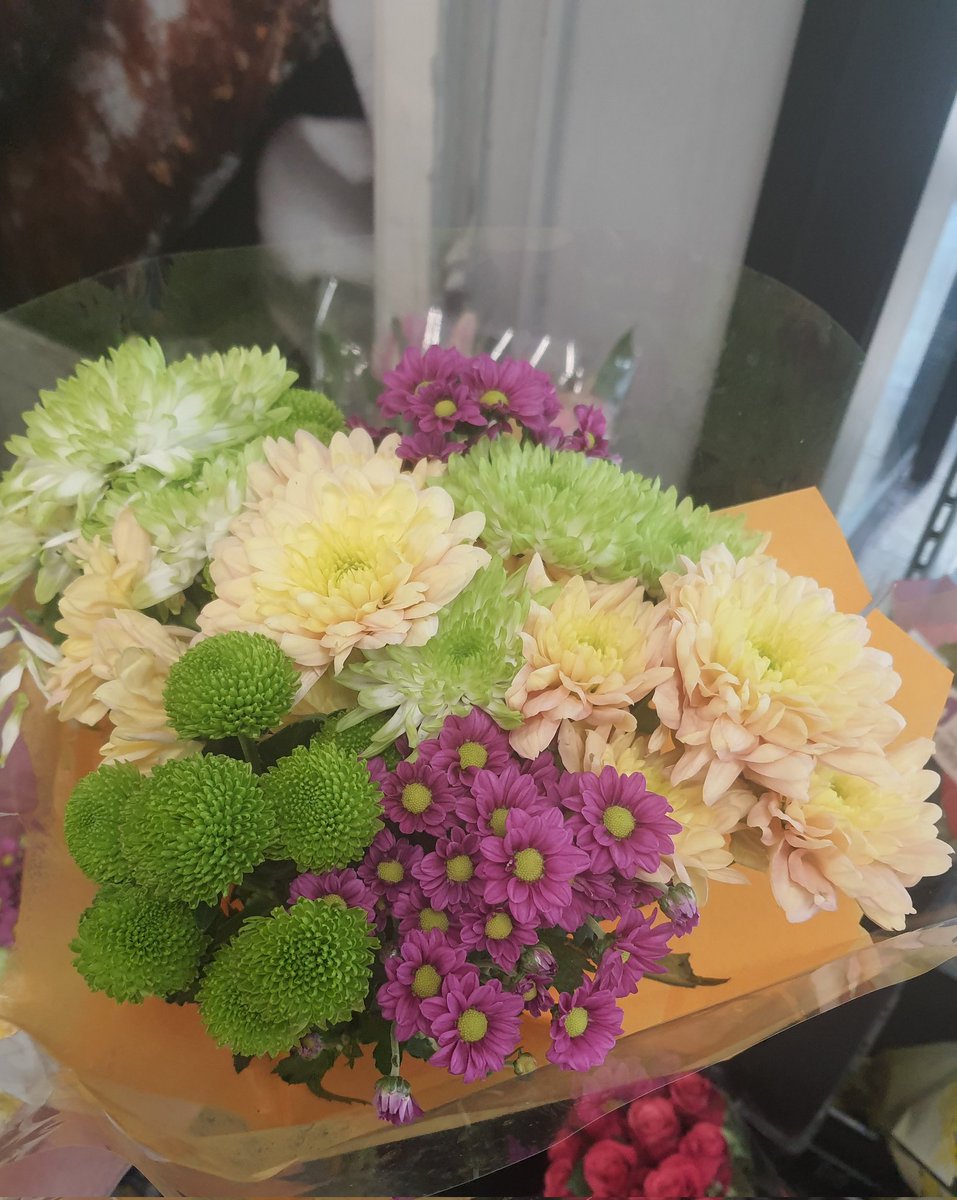 Somaya |𐩪𐩣𐩺𐩠| tweet media