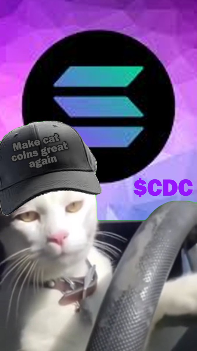 Don't be fooled by the current macro environment

Things will heat up again, meow