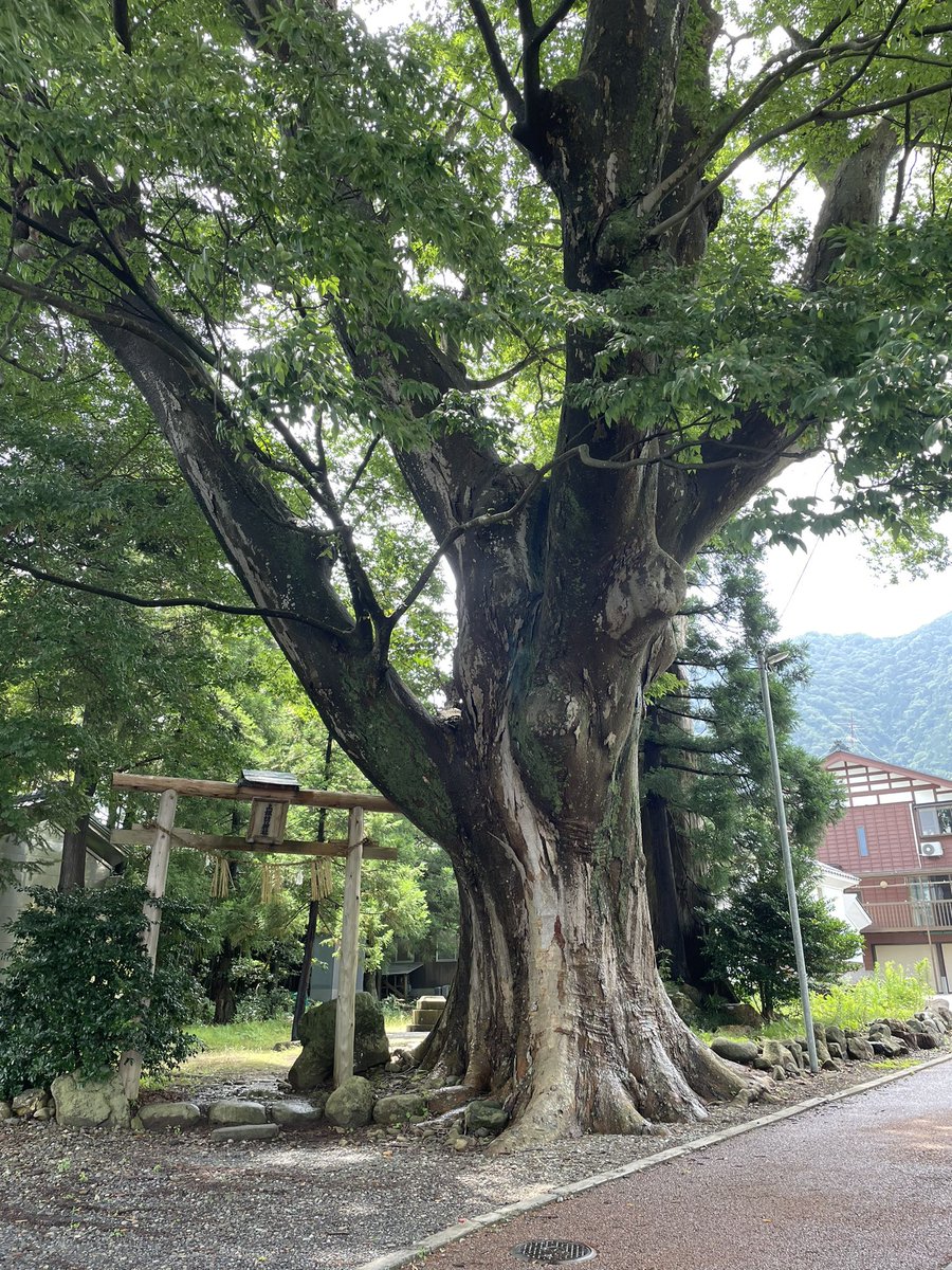 komeyakatagiri's tweet photo. おはようございます^ ^
弥彦の続き➡️
とても素敵なお料理と空間でした☕️
目的地になる場所♡
#弥彦
#素敵なカフェ
#binn
#エスプレッソソーダトニック
#本日のサンドイッチ
#ブランマンジェ
今日も素敵な一日になりますように🙏 https://t.co/u3qJVIOEtw