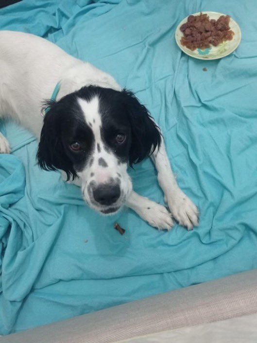 Bu güzel kız Ankara’da ev arıyor. Kiraya faturalara karışmaz ama evinizi sevgi dolu bi yuva yapar. Simit yersiniz beraber 🫠🥰 8-9 aylık, iletişim 05545589831.

<a href="/nesliko/">Neslihan</a>