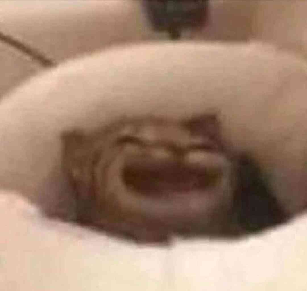 ✨ Hannah ✨ tweet media