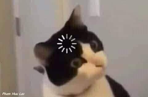 efectocd9's tweet image. Entonces si hay CD9 de lo que resta del año? 🥺❤️