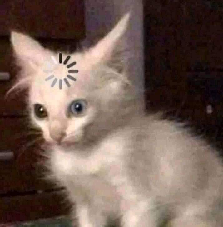 efectocd9's tweet image. Entonces si hay CD9 de lo que resta del año? 🥺❤️