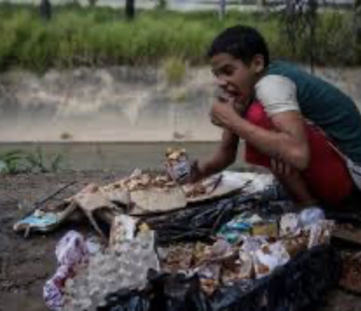 Elizabe47512918's tweet photo. @GuntherEagleman Oh man, that’s gonna suck.  
Going from a fun weekend at home, as usual, to eating garbage in the street.  Oh well 🤷‍♀️ https://t.co/Pmh7RQG9Ha