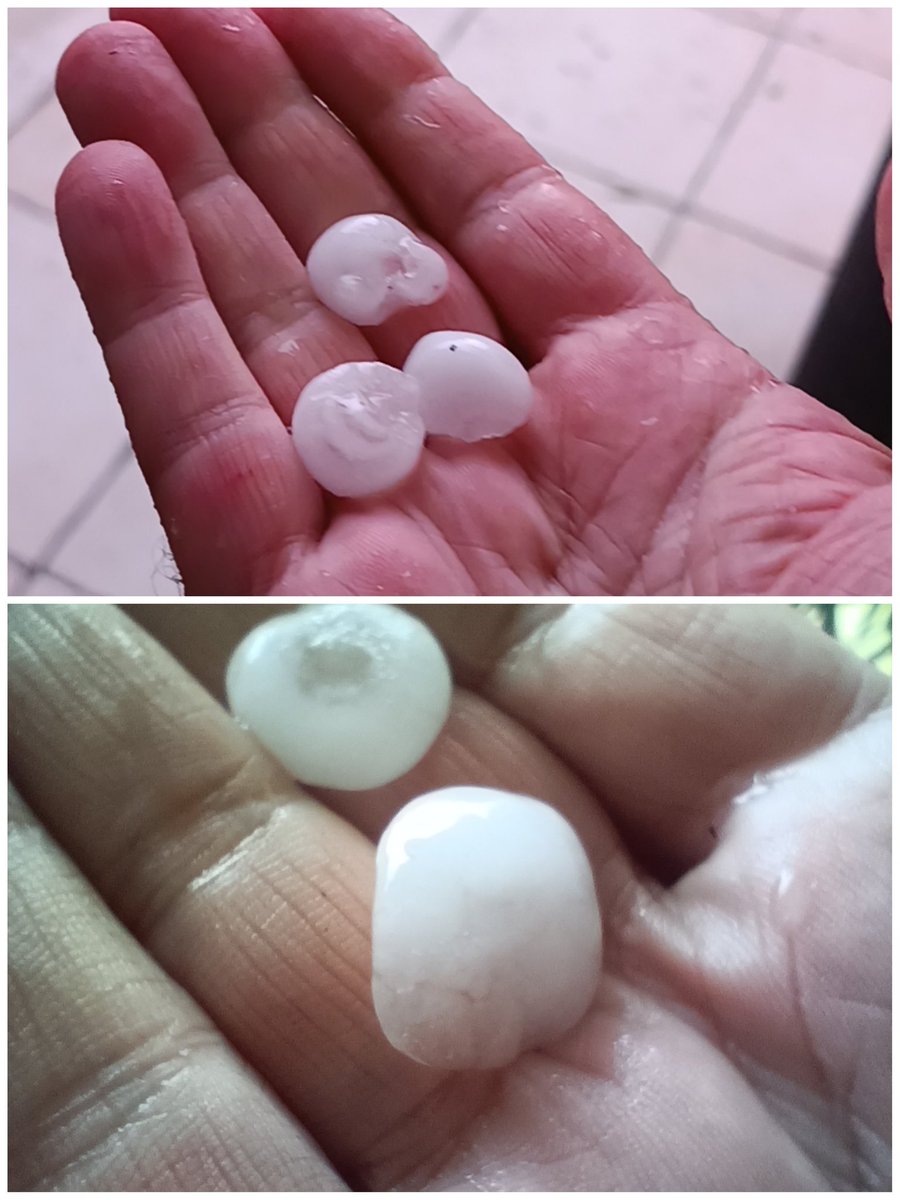 flanconapucara's tweet image. Cada calhau... levei com alguns nos pés e braços ouch
#granizo e #trovoada
Oeste, onde o inverno vem passar o Verão 😏