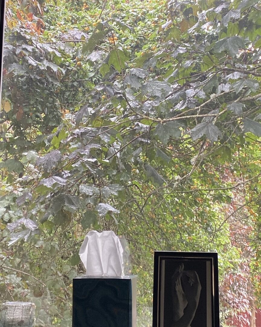 asimmons208's tweet photo. Enjoying the view out my new home office. And yes, it’s raining - it IS Oregon, after all. #NarratorLife https://t.co/s5LSSCGnHa https://t.co/pbTYkC9JCC