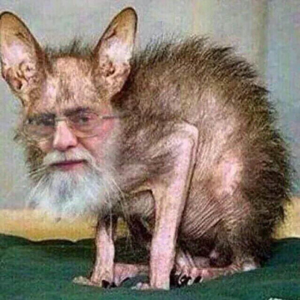 @Quraish911 #الصورة_تقول واهسينااااة واهسينااااة 🤪🔽