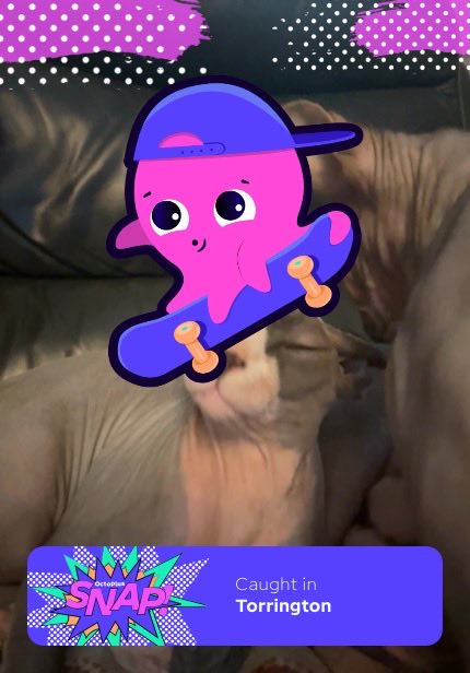 I snapped Constantine! Play #OctoplusSNAP for a chance to win a BYD Dolphin from <a href="/OctopusEnergy/">Octopus Energy</a>.