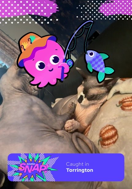 I snapped Constantine! Play #OctoplusSNAP for a chance to win a BYD Dolphin from <a href="/OctopusEnergy/">Octopus Energy</a>.