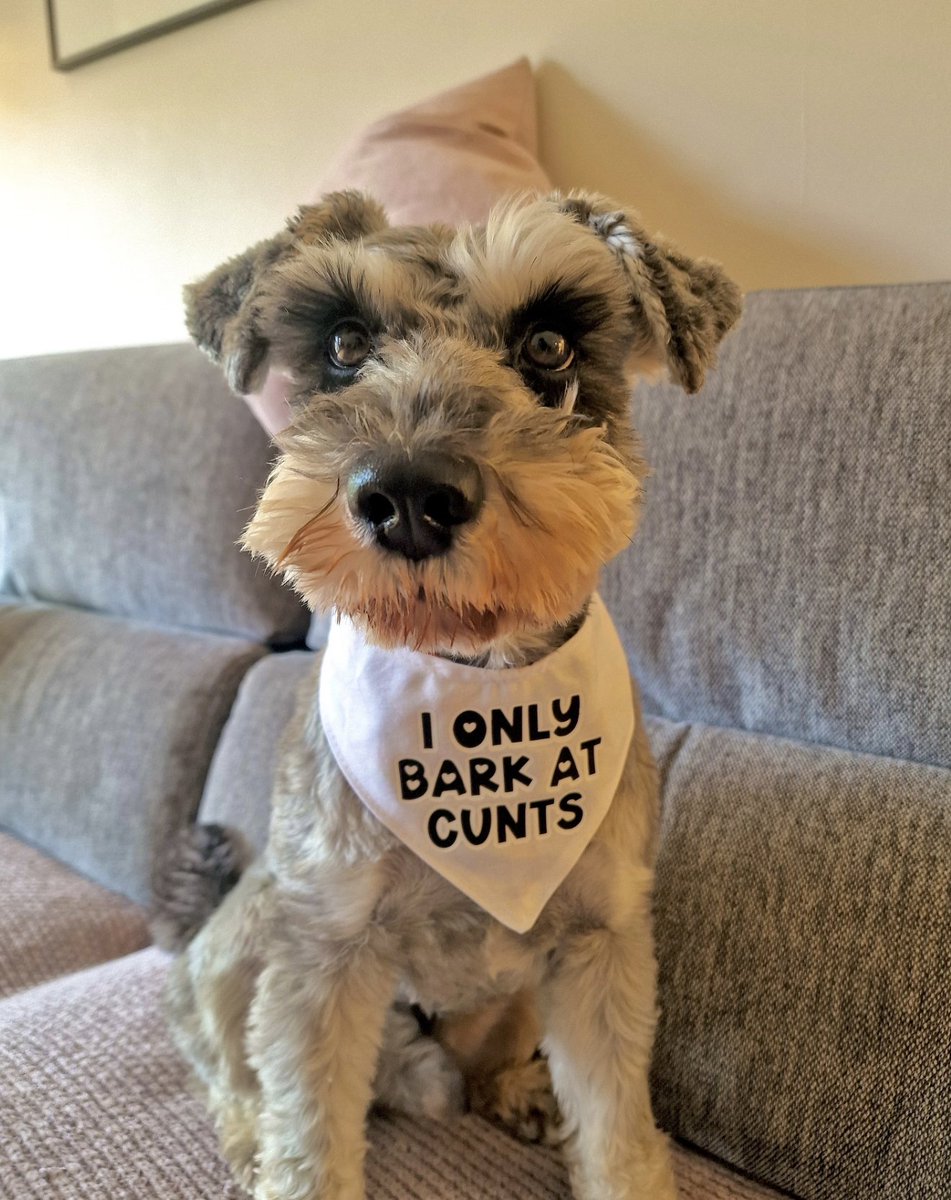 shirts that go hard (@shirtsthtgohard) on Twitter photo 