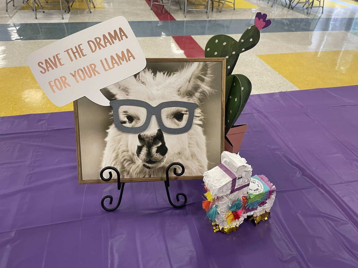 Stacy Carroll tweet media