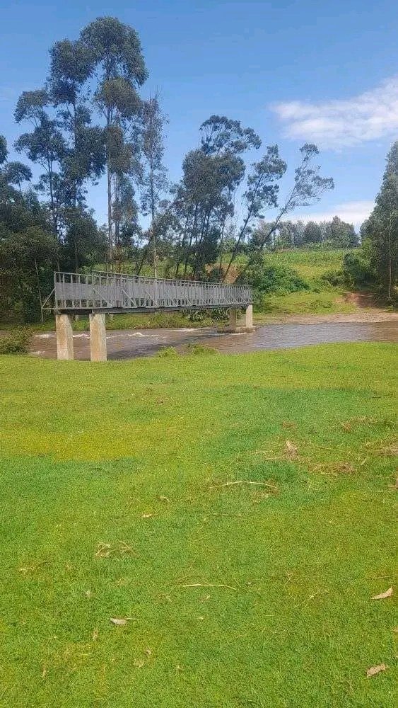 Bomet please abeg!, let’s disband that county and everyone goes home please! WARATHEEESEE!😩😂NKT🚮🚮🤣
#RutoMustGo