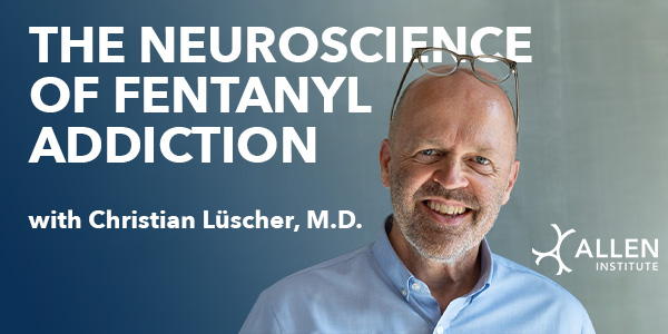 Rui Costa (@ruimcosta) on Twitter photo Looking forward to welcoming renowned neurologist and neuroscientist @luscherc to the <a href="/AllenInstitute/">Allen Institute</a>! If you are in the Seattle area, I hope you will join me on July 31, 5pm for what will be an illuminating presentation on the neuroscience of fentanyl addiction. Looking forward to welcoming renowned neurologist and neuroscientist @luscherc to the <a href="/AllenInstitute/">Allen Institute</a>! If you are in the Seattle area, I hope you will join me on July 31, 5pm for what will be an illuminating presentation on the neuroscience of fentanyl addiction.