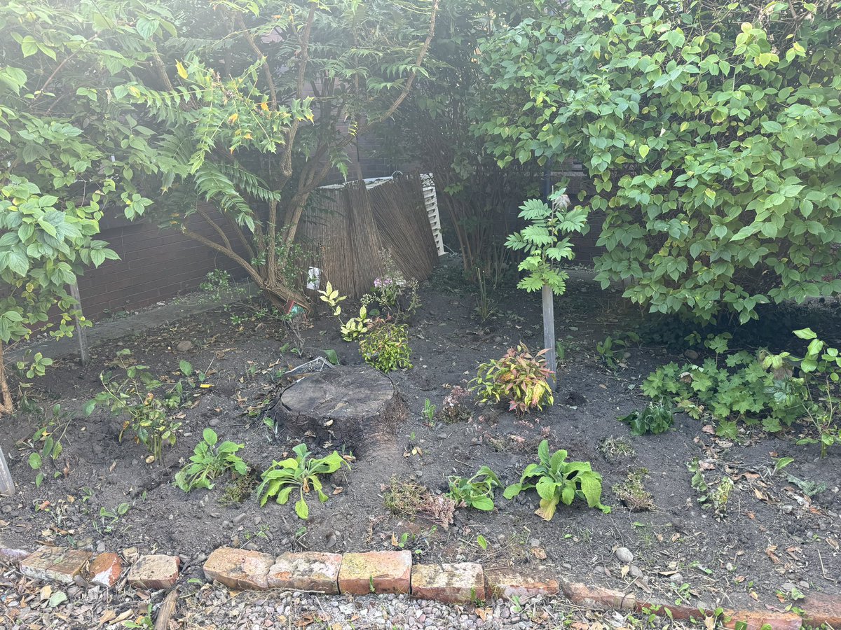 A few new plants have gone in this week. Needed a water today after the sunny weather.