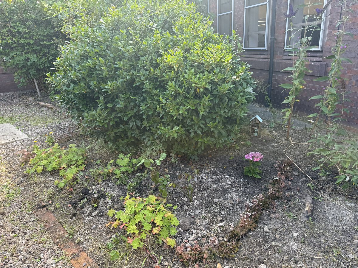 GreenMaelor's tweet photo. A few new plants have gone in this week. Needed a water today after the sunny weather. https://t.co/zGKZEVv3zJ